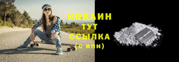 гашик Наволоки