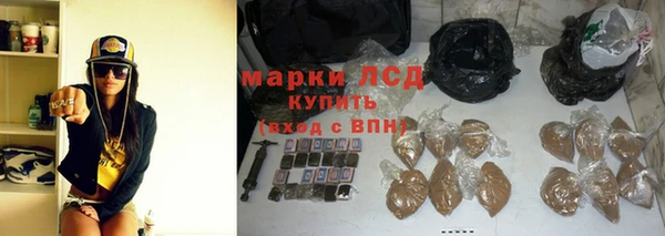 стаф Надым