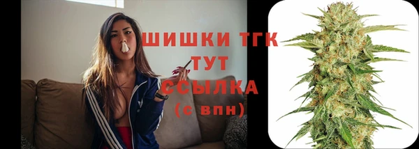 PSILOCYBIN Навашино