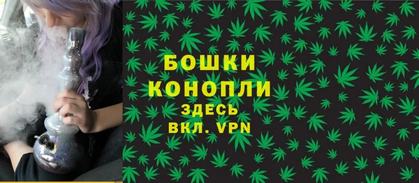 стаф Надым