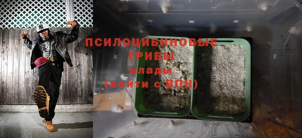 стаф Надым