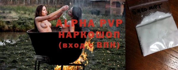 стаф Надым
