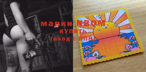стаф Надым