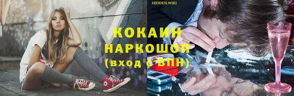 PSILOCYBIN Навашино