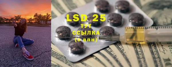 PSILOCYBIN Навашино