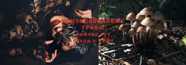 стаф Надым
