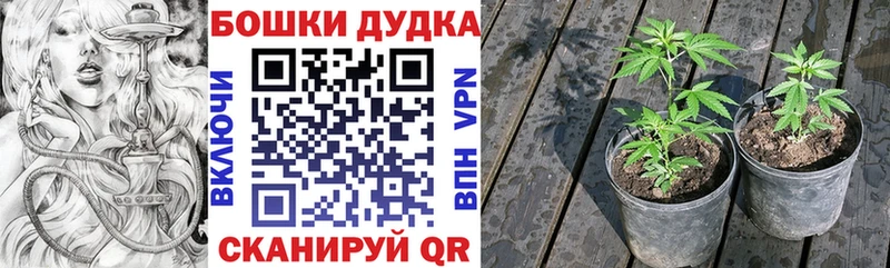 Купить закладки  Каргополь  МАРИХУАНА MAZAR 